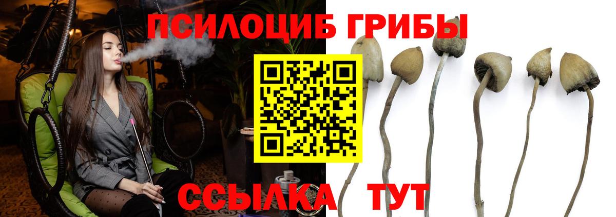 Псилоцибиновые грибы Magic Shrooms  купить наркоту  Среднеуральск  Вход с VPN  Псилоцибиновые грибы Psilocybine cubensis 